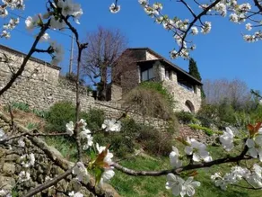 Voll ausgestattetes Ferienhaus mit Garten, privatem Pool und Grill | Bergblick | Hunde erlaubt - Image 2