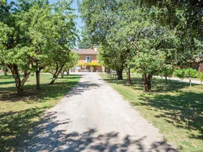 Zelt mit Terrasse und beheiztem Pool - Image 3