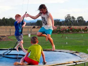 Spacious Oxley Accommodation for a Fun-Filled Farm Stay, Victoria - Image 5
