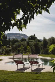 Agriturismo Serena - alloggi e oliveto: Appartamento Sargano - Image 4
