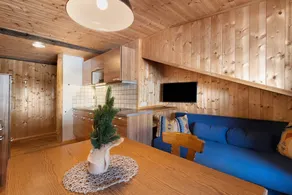 Studio Apartment 'Jelerhof Apt Zirm' with Mountain View, Shared Garden and Wi-Fi - Image 5