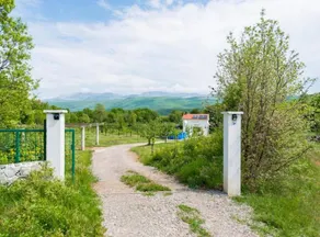 Holiday home with barbeque & private pool | Dogs allowed - Image 3