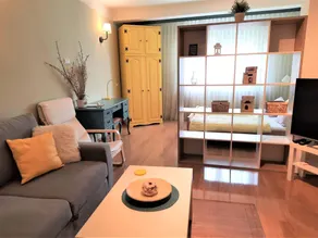 Schöne neu renovierte Wohnung in der Nähe des Zentrums - Image 3