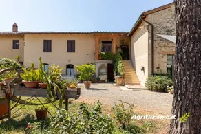 Agriturismo Sant'Ulivieri: Ginestra - Image 2