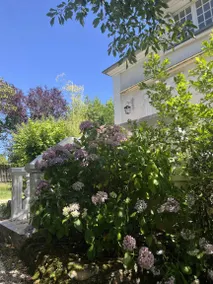 Family-oriented charming house with terrace, garden & BBQ | Garden view | Pet-friendly - Image 5