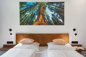 Apartment 'Nature House Mammoth Tree' – Strength, Tranquility & Connection to Nature - Image 4