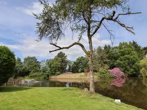Family-friendly nice cottage with barbecue, jacuzzi & garden - Image 3