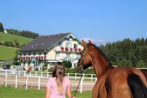 Kinderfreundliches schönes Aparthotel mit Terrasse, Pool und Sauna | Seeblick | Hunde erlaubt - Image 2