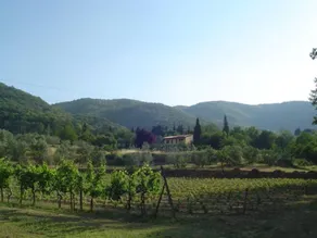 Podere la Casellina - un vero agriturismo familiare: Struttura intera - Image 3