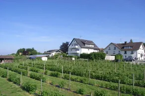 House with terrace & garden - Image 3