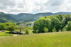 Beautiful flat with garden & terrace | Mountain view - Image 3