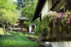 Child-friendly holiday apartment with pool & sauna - Image 2