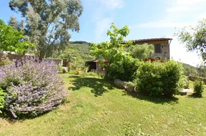 Farm with pool, BBQ & garden | Panoramic view - Image 5