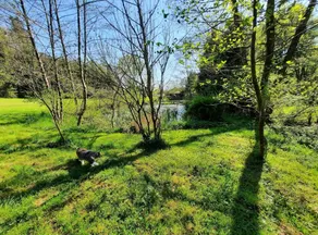 Appartement avec terrasse et jardin - Image 4