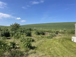 Spaziosa casa adatta alle famiglie con barbecue, sauna e giardino - Image 4