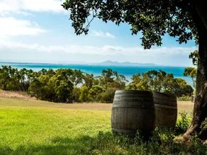Experience Glamping Magic: Bell Tents for Couples and Families near Melbourne - Image 5