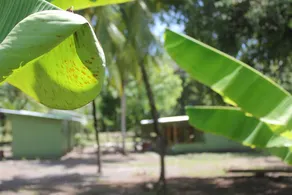 Las Olas Hostel - Image 4