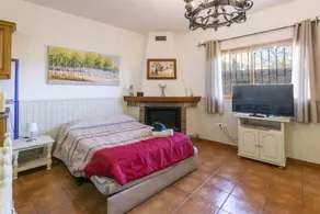 Schöne Ferienwohnung mit Grill und Terrasse | Haustiere sind willkommen - Image 4