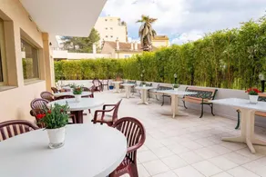 Adonis Cannes - Image 2
