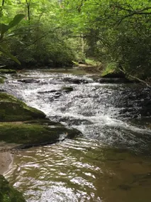 Discover Your Cool Escape - Hot Tub, WiFi, Creek Access & Pet Friendly - Image 3