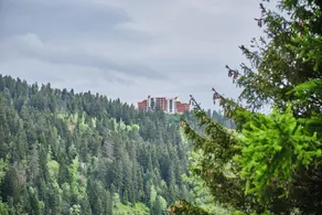 Appartamento con giardino e terrazza | Vista sulla montagna | Vicino alle piste da sci - Image 4