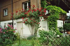 Ferienhaus mit Terrasse und Garten - Image 4