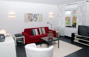 Bachstelze - Image 4