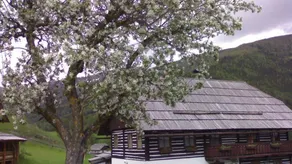 House with garden & barbeque - Image 2