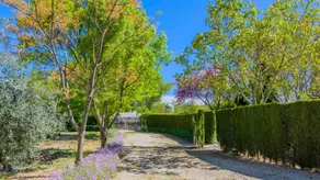 Casa El Vegetal Arriate by Ruralidays - Image 4