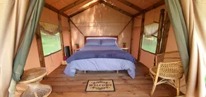 Amazing Guasca Glamping Accommodation in Cundinamarca, Colombia - Image 4