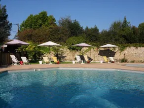 Zelt mit Terrasse und Pool - Image 3