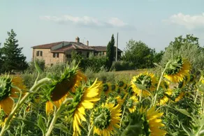 Casa dei Girasoli - Image 2