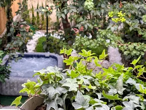 Kinderfreundliches Ferienhaus mit privatem Pool, Whirlpool und Garten | Santa Maria della Spina in der Nähe | Poolblick | Haustiere sind willkommen - Image 4