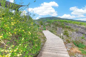 Lavender Cottage with Mountain View, Private Terrace, and Wi-Fi - Image 2