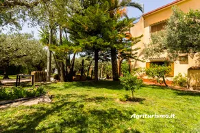 Montalbano: I 4 Venti - Image 3