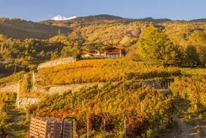 Agriturismo Les Granges: Rovere - Camera con colazione - Image 2
