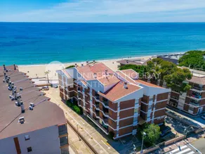 Holiday apartment with garden & terrace | Next to the beach | Pet-friendly - Image 4