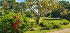Holiday home with garden, BBQ & terrace | Pool view | Pets allowed - Image 5