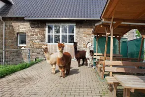 Holiday apartment with barbecue, garden & terrace | Garden view - Image 2