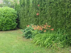 Beautiful house with garden, barbeque & terrace | Nature view | Pets allowed - Image 5