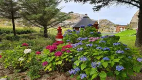 Pleasant holiday home with garden, terrace & sauna - Image 3