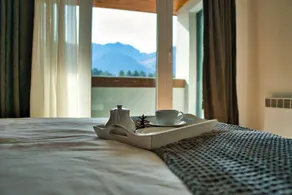 Dedicated room with sauna, pool & garden - Image 5