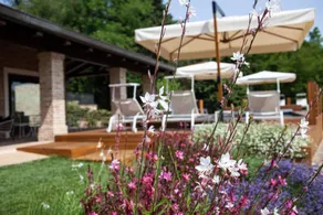 Wunderschönes Privatzimmer mit Terrasse, Pool und Garten | Gartenblick | Haustiere sind willkommen - Image 5