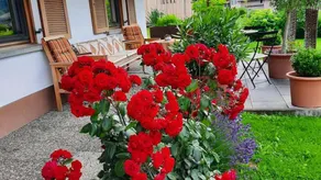 Appartement de vacances avec jardin | Vue montagne - Image 5
