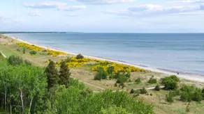 Family-oriented holiday home with garden, sauna & private pool | Beach nearby | Pets allowed - Image 3