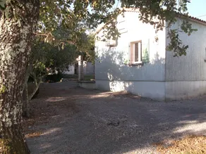 Fully equipped holiday home with garden, terrace & BBQ | Garden view | Pets are welcome - Image 5