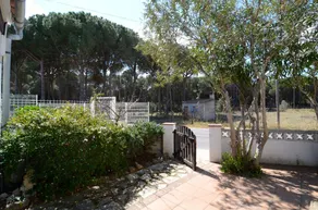 PUIG 213 - Image 5