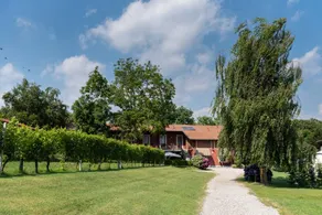 Tenuta Tovaglieri: Monte Tabor - Image 2