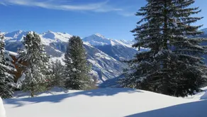 Flat with terrace, sauna & private pool | Mountain view | Ski nearby - Image 4