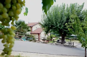 Al Crichelon: Residence Appartamento 105 - Image 2